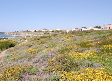 Corridoio ecologico