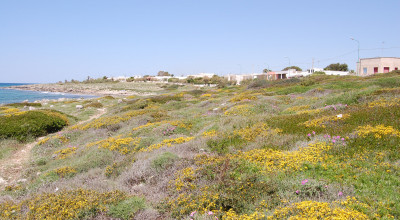 Corridoio ecologico