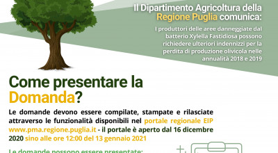 Indennizzi per calamità Xylella fastidiosa anni 2018-2019