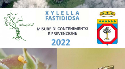 Xylella Fastidiosa: misure di contenimento e prevenzione 2022