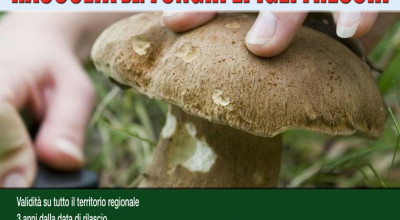 Corso per il rilascio del permesso per la raccolta dei funghi epigei freschi