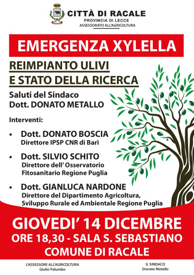 Convegno emergenza Xylella