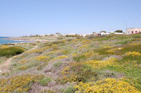 Corridoi ecologici